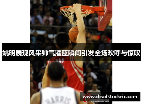 姚明展现风采帅气灌篮瞬间引发全场欢呼与惊叹